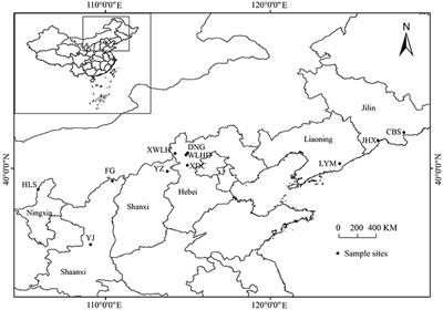 Quality Evaluation of Juniperus rigida Sieb. et Zucc. Based on Phenolic Profiles, Bioactivity, and <mark class="highlighted">HPLC Fingerprint</mark> Combined with Chemometrics